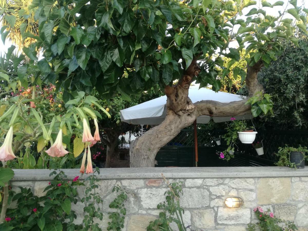 Chez Athena/ Vacation Home For 6 In Chania Tavronitis Exteriör bild